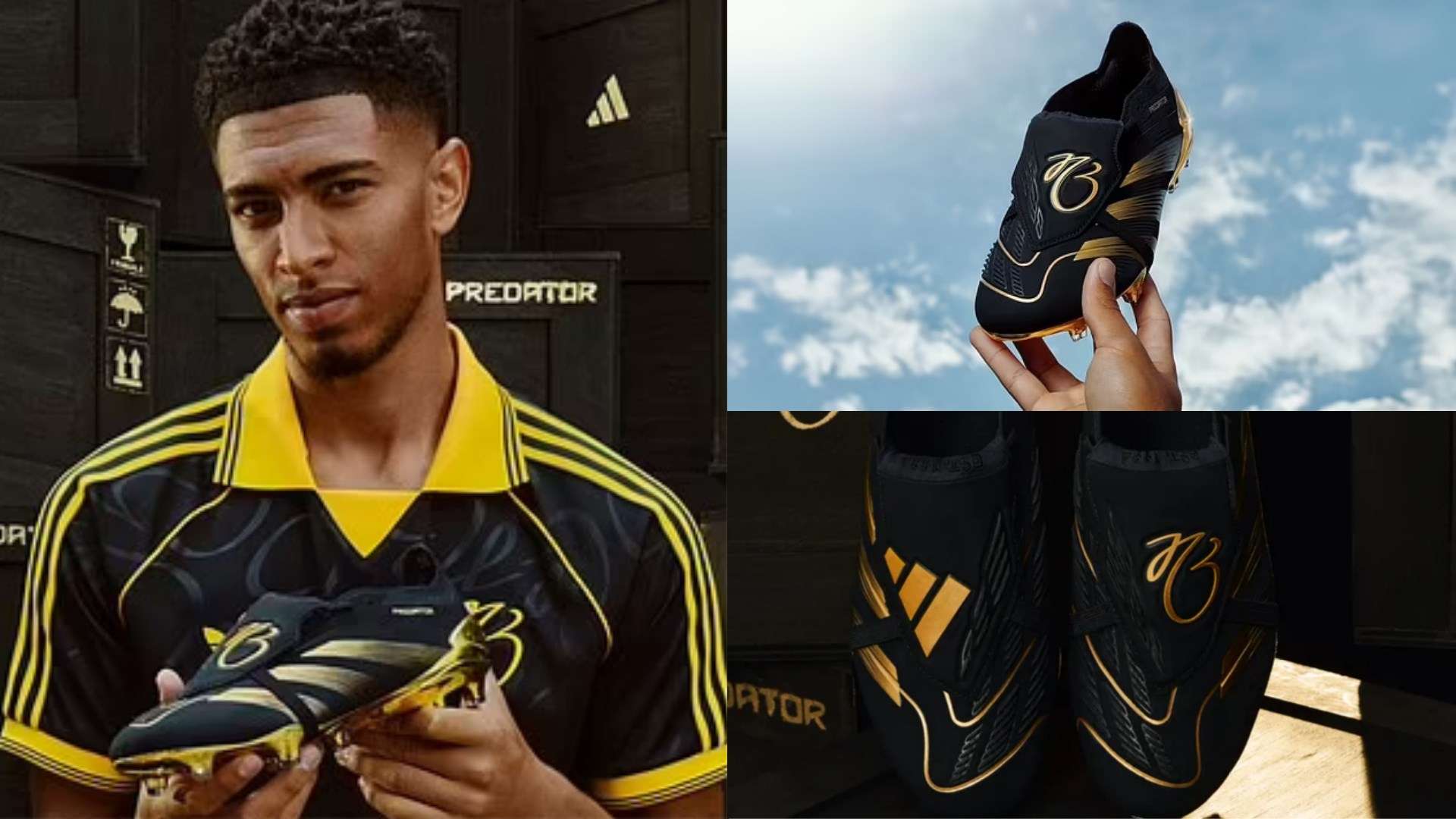 荷兰队在比 荷兰队在比