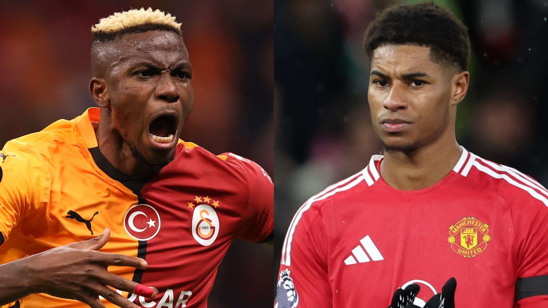 要在未来的 要在未来的